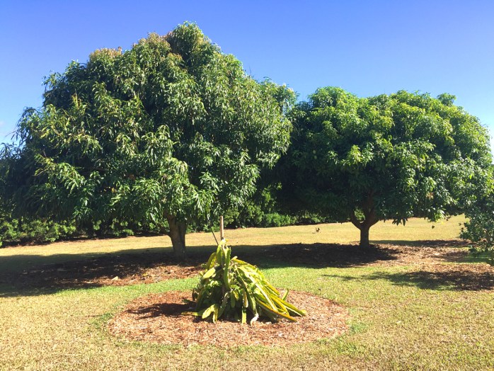 This image has an empty alt attribute; its file name is img_4046-1.jpg