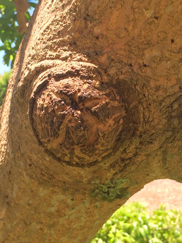 This image has an empty alt attribute; its file name is img_4063-1.jpg