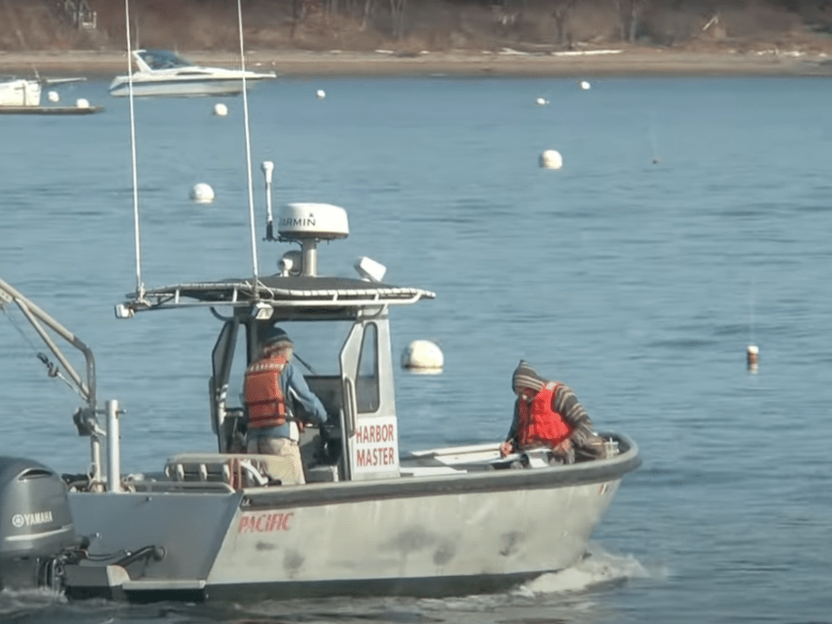 Belfast Harbor Master